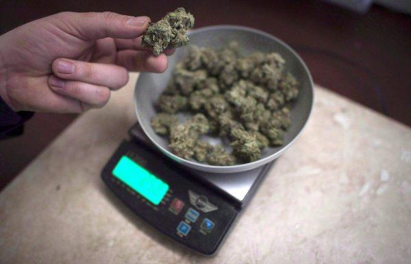 Marijuana is weighed at a medical marijuana dispensary in Vancouver, Feb. 5, 2015. (The Canadian Press/Jonathan Hayward)