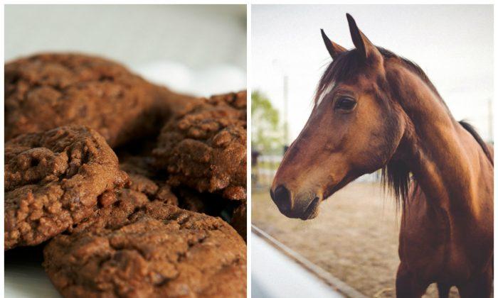 Horse and Dog Die After Eating Poisoned Cookie