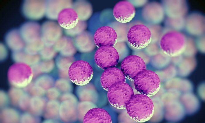 Time-Lapse Video Catches MRSA on the Move