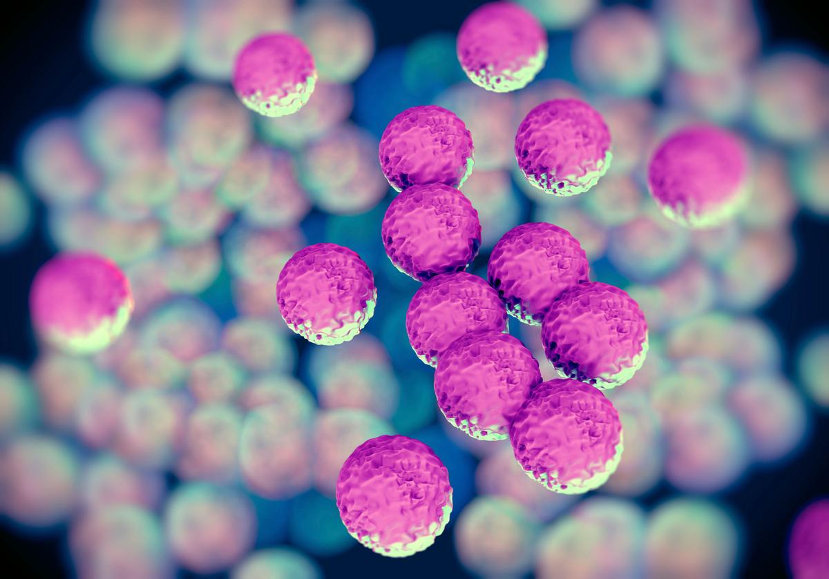 Time-Lapse Video Catches MRSA on the Move