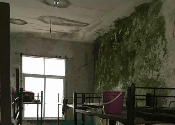 Chinese React to Moss-Filled School Dorm: ‘Who Ate the Allocated Funds?’