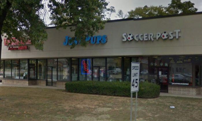 New Jersey Pet Shop Owner Faces 267 Counts of Animal Cruelty