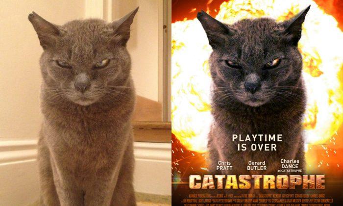 Mysterious Artist Turns Hundreds of Reddit Posts Into Amazing Movie Posters