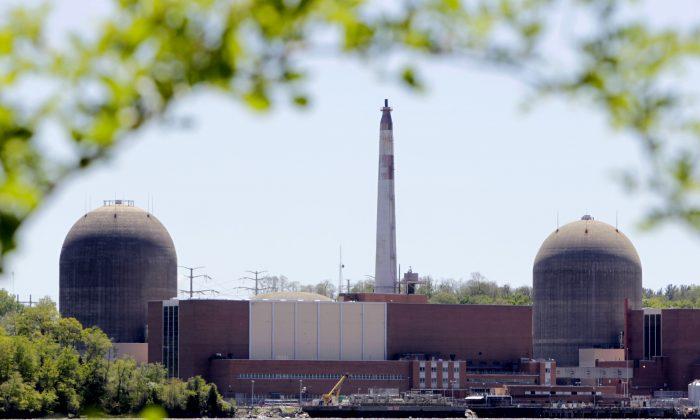 Bird Poop Apparently Caused NY Nuclear Reactor Outage