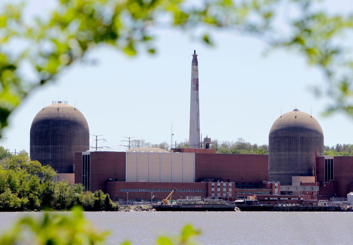 Bird Poop Apparently Caused NY Nuclear Reactor Outage
