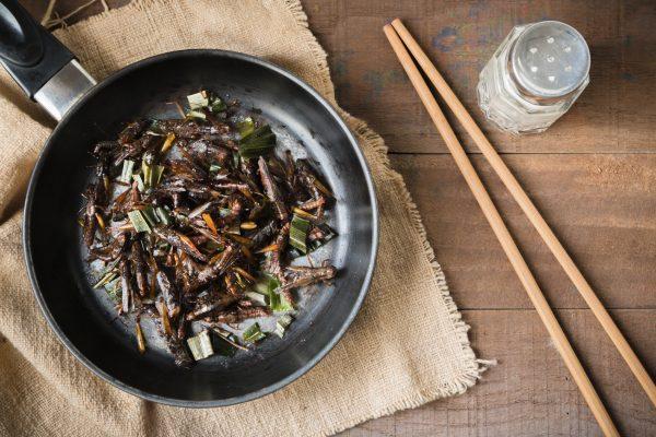 Fried grasshopper with pandan seasoning and salt, pepper and soy sauce. (Kidsada Manchinda/iStock)