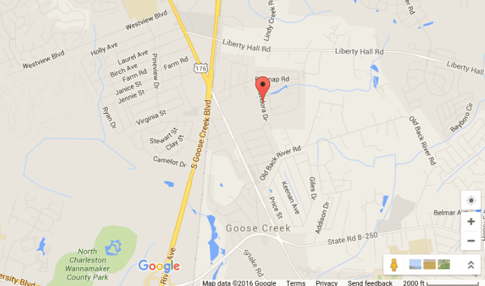 Goose Creek, South Carolina: 2 Bodies Found in Shallow Grave in Backyard