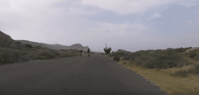 Video: Ostrich Chases Cyclists in South Africa