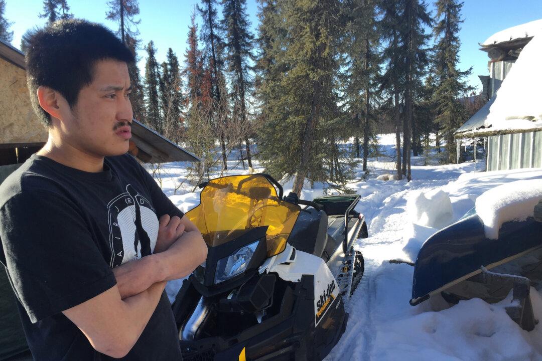 At Iditarod Trail Dog Sled Race, a Snowmobile Attack Leaves 1 Dog Dead and 6 Injured