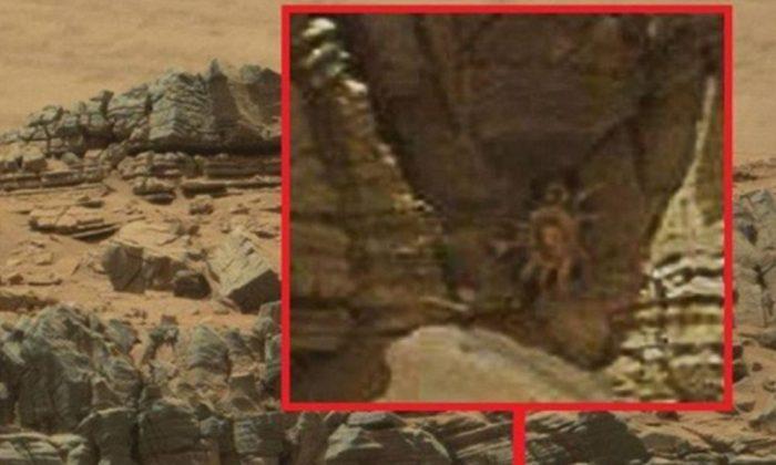 ‘Space Crab’ Captured in Mars Photo Probably Just Pareidolia