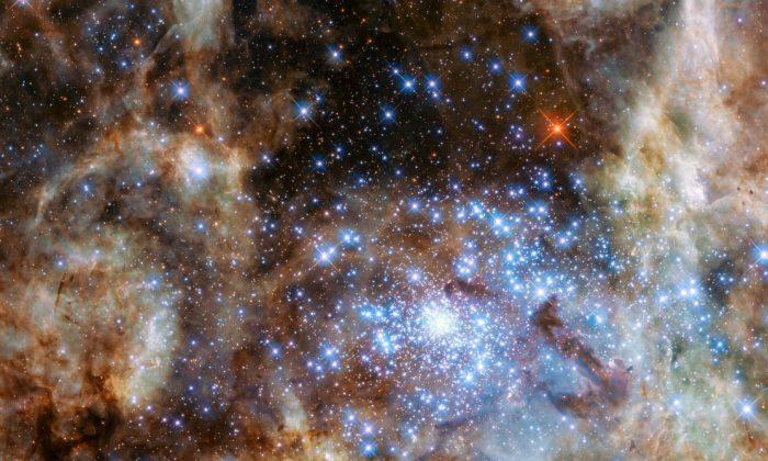 Hubble Spots Cluster of Monster Stars