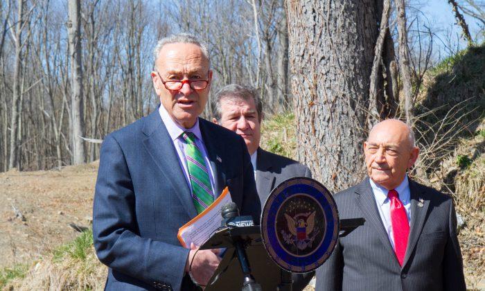 Schumer Urges Expedited Approval of Amy’s Kitchen Site