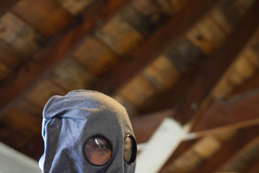 PHOTO GALLERY: WWI Commemoration at Museum Village