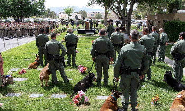 Police Dog Nicky Laid to Rest, Fellow Dogs Bark Goodbye