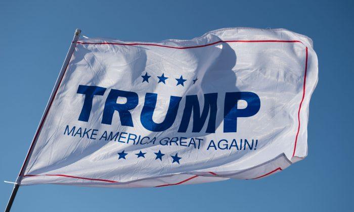 Man Defies Risk of $2,000 Fine and Jail Time to Fly Trump Flag