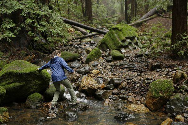 Hiking in Redwood Creek at the Archer Taylor Preserve in Napa, Calif. (AP Photo/Eric Risberg)