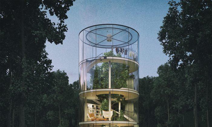 House Build Around the Full-Grown Tree Is Getting as Close to Nature as Possible