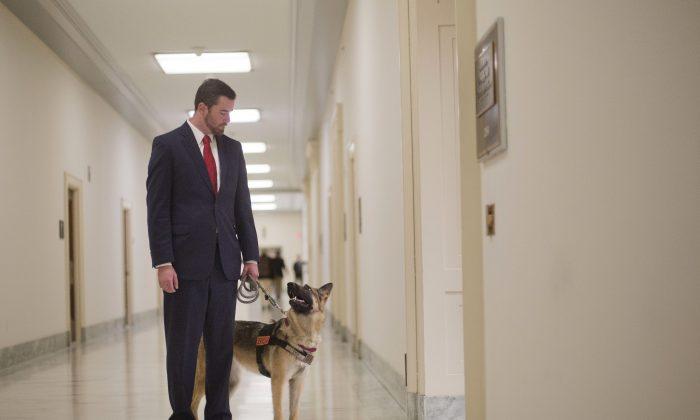 Marine Campaigns to Get Service Dogs for Veterans with PTSD