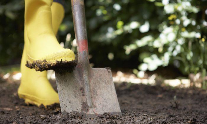 Gardening Is More Effective Exercise Than Going to the Gym