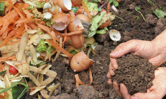 How to Make Your Own Compost Tea