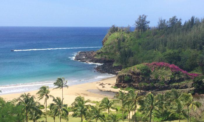 A True Taste of Hawaii: Savouring Kauai’s South Shore