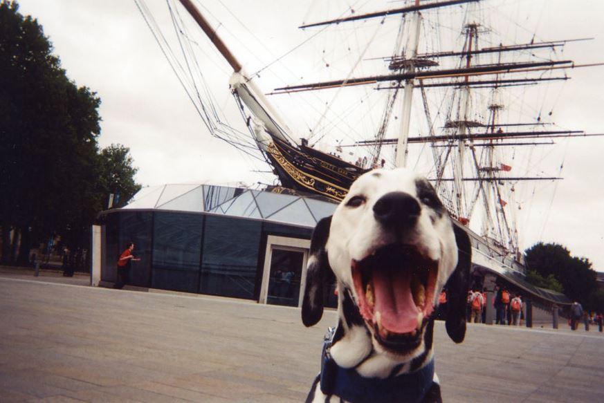 100 Cameras Were Given to Homeless in London. The Results Left Everyone Mesmerized