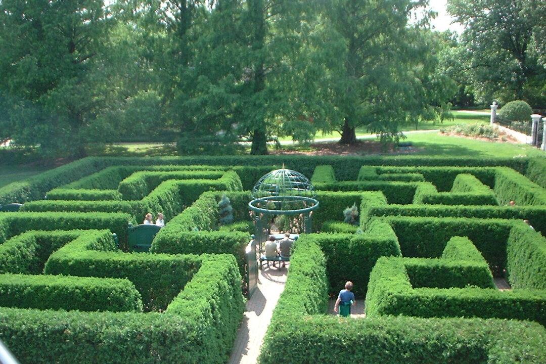 If You Get Lost on Vacation, Early Alzheimer’s May Be to Blame