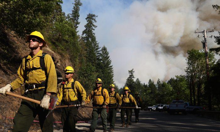 Hawaii, Alaska, Southwest Face Increased Wildfire Threat