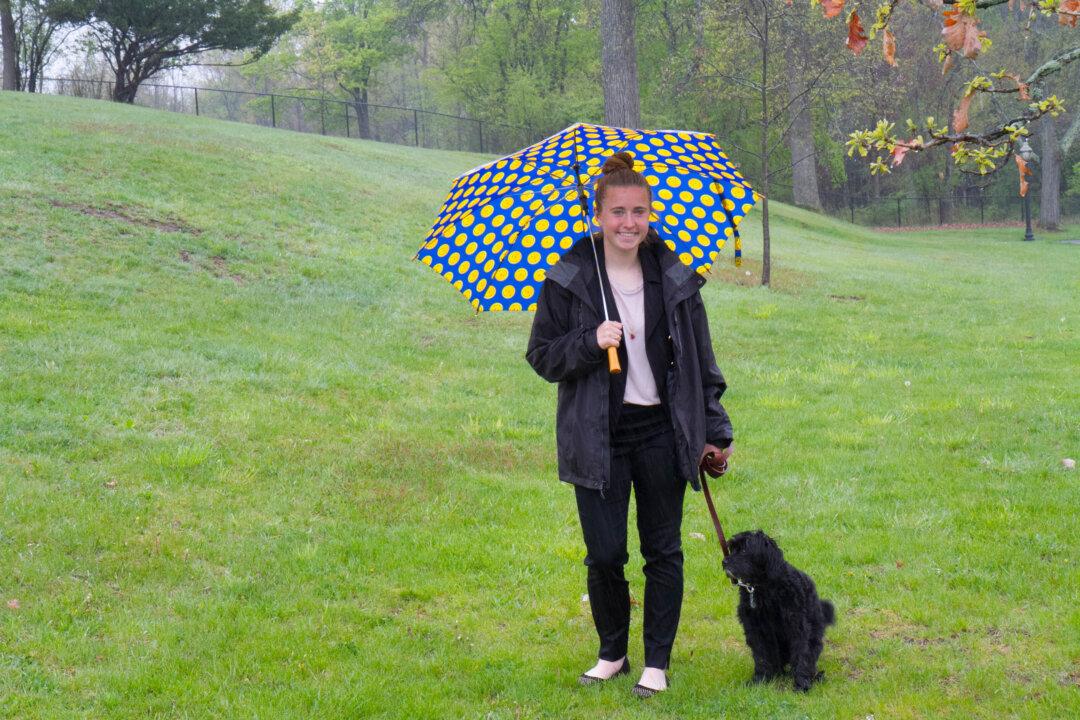 Goshen Dog Park Soon to Be a Reality