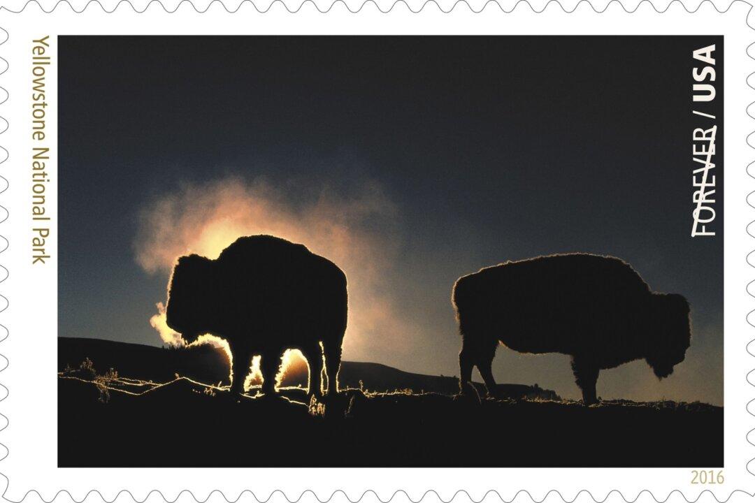 As National Park Service Turns 100, It Highlights 16 of the Most Stunning Park Images