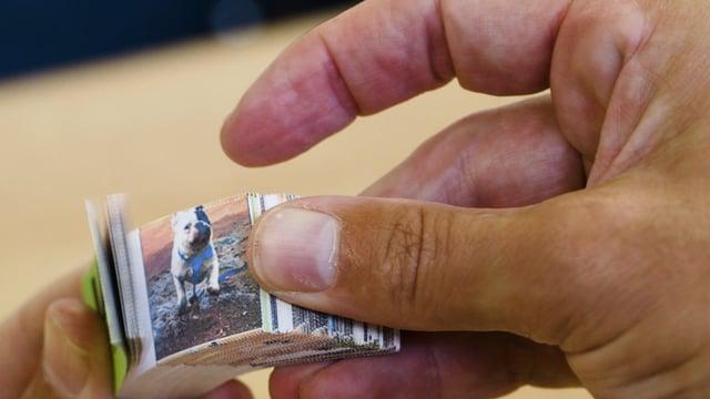 Watch: She Turns Social Media Into Tiny Flipbooks for Inmates