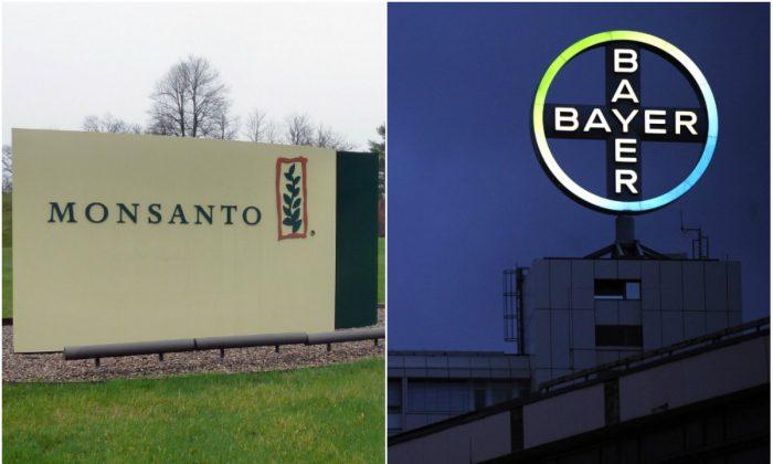 Bayer Considers Monsanto Takeover, May Sell Assets to Finance It: Report