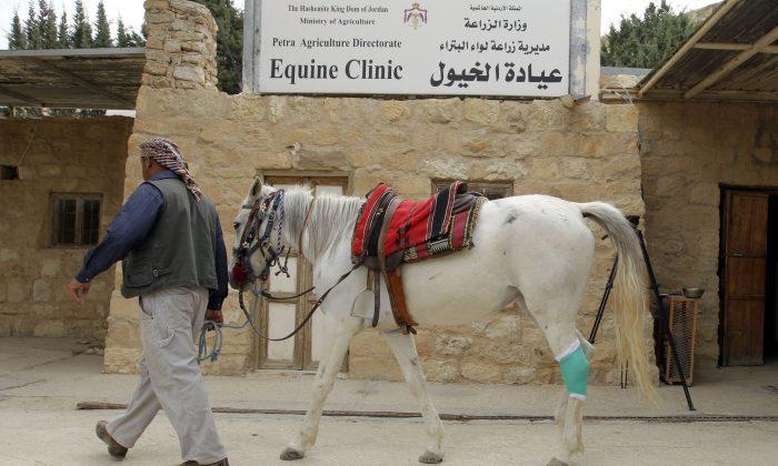 Jordan Boosts Animal Welfare at Famed Petra Tourist Site