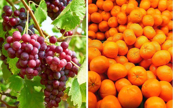 Orange-Grape Pills May Lower Blood Sugar