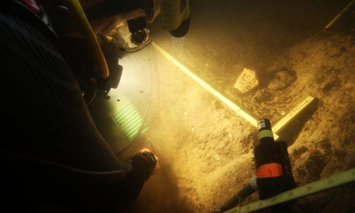 Early Snowbirds? Florida Sinkhole Yields Ancient Artifacts