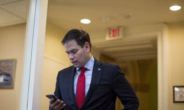Marco Rubio Mocks Washington Post Articles in Tweetstorm