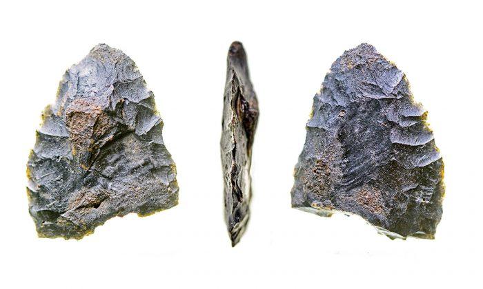 Tusk Hints Humans Were in Florida 14,500 Years Ago
