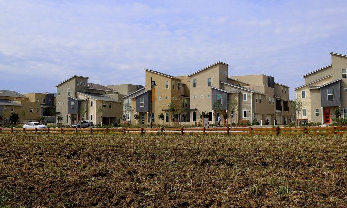 Agrihoods Take Root: A Housing Trend Rooted in Agriculture