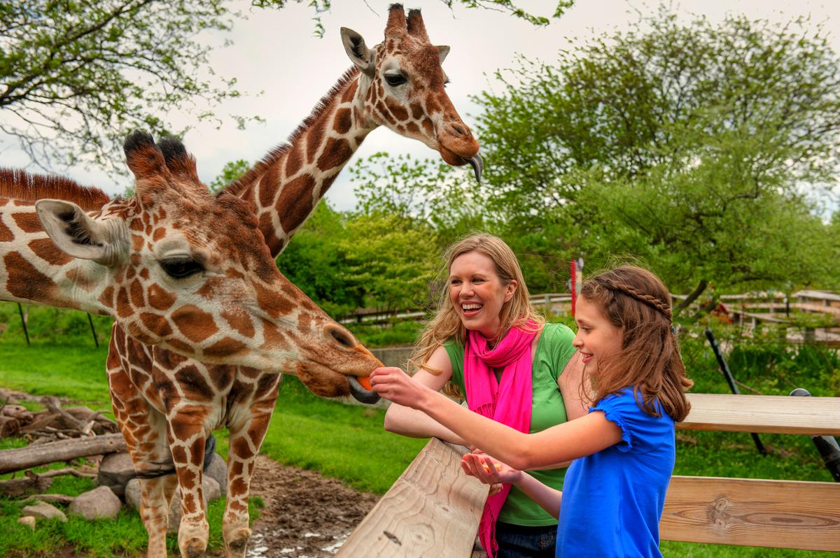 The Indianapolis Zoo. (Courtesy of VisitIndy.com)