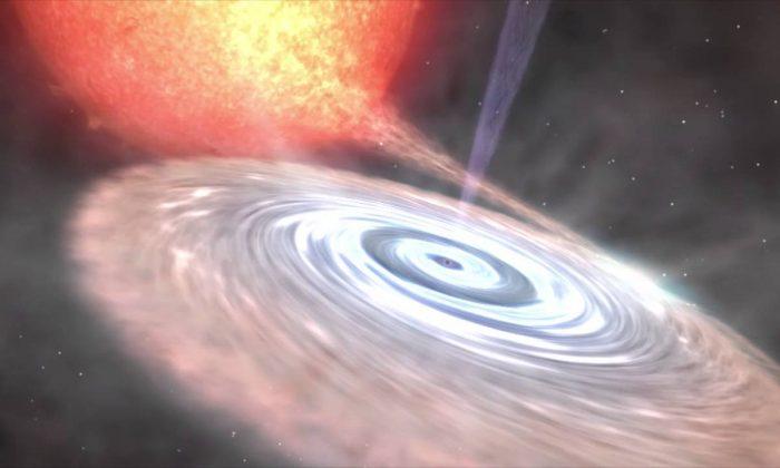 How We Caught a Black Hole Emitting Intense Wind