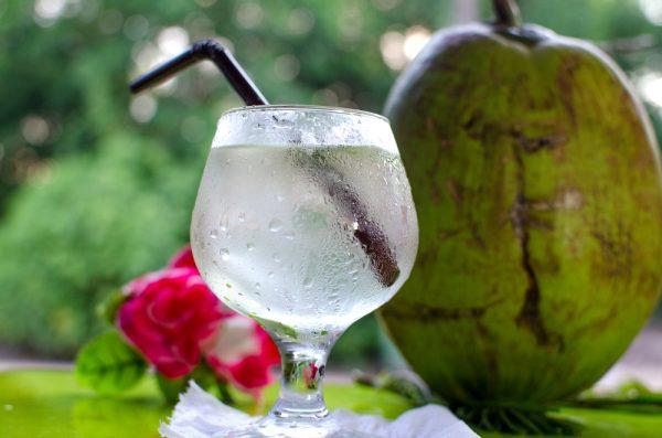 Coconut water contains a range of essential biomolecules needed for health (photog/shutterstock)