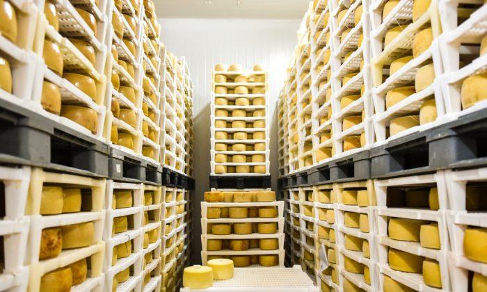 Evidence of Prehistoric Swiss Cheese Found in Pots