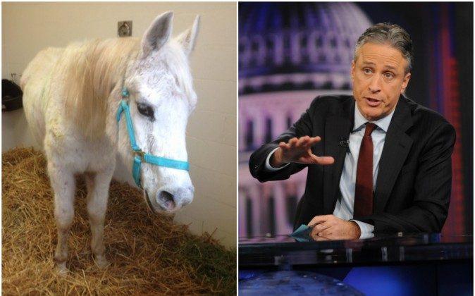 Jon Stewart, Ex-Host of ‘Daily Show’ Adopts Horse Shot by More Than 100 Paintballs