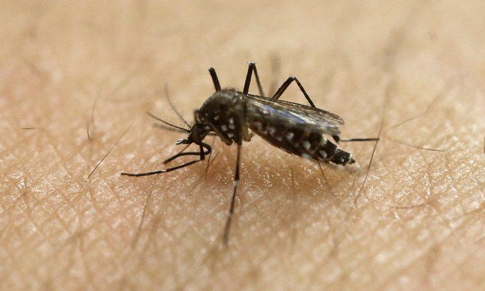 OC Health Department Releases Zika Virus Action Plan