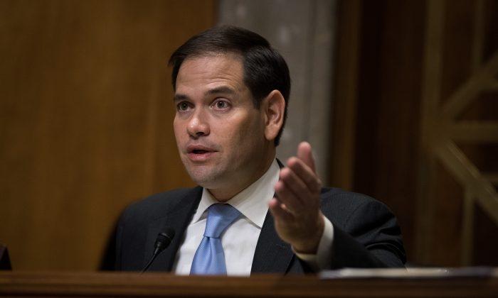 Marco Rubio Told Trump ‘I’m Sorry’ for Insults About ‘Small Hands’