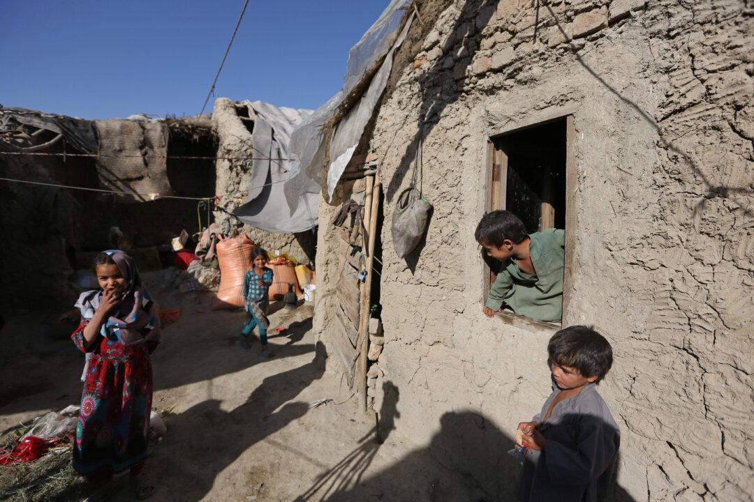 Amnesty Says 1.2 Million Afghans Internally Displaced by War