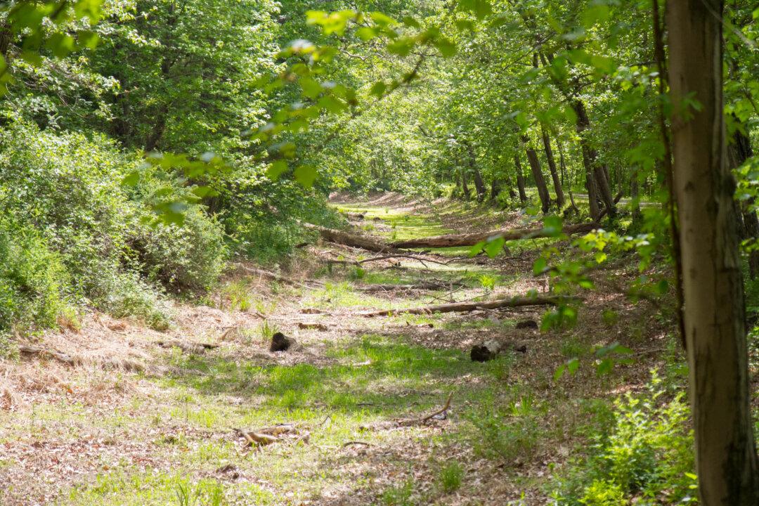 Group Makes Headway on Filling D&H Canal with Water