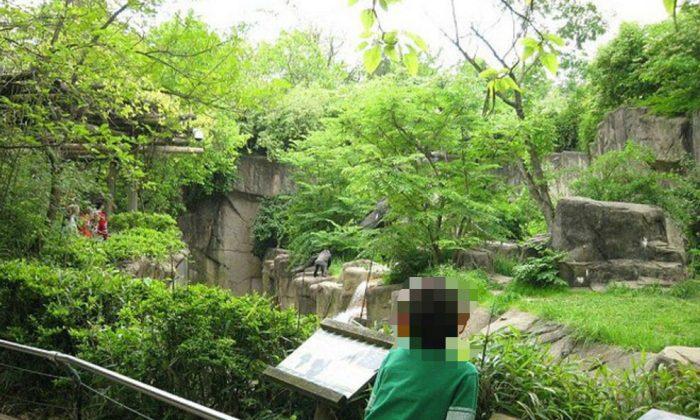 Pictured: Barrier Designed to Keep People out of Gorilla Enclosure at Cincinnati Zoo
