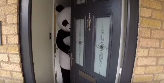 Guy Puts on a Panda Suit in Order to Sell His House in New Viral Video