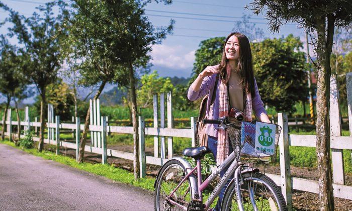 Cycling: One of the Best Ways to Experience Rural Taiwan